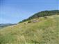 jašterica bystrá (10.5.2014)
